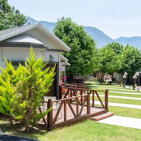 住宿加早餐酒店 222